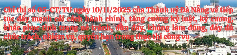 Ảnh TP Đà Nẵng Copy4